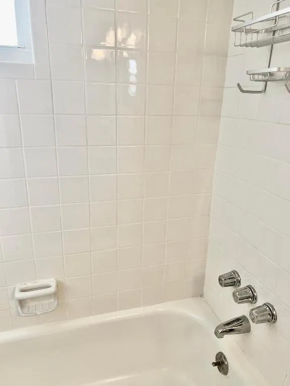 guest shower/tub