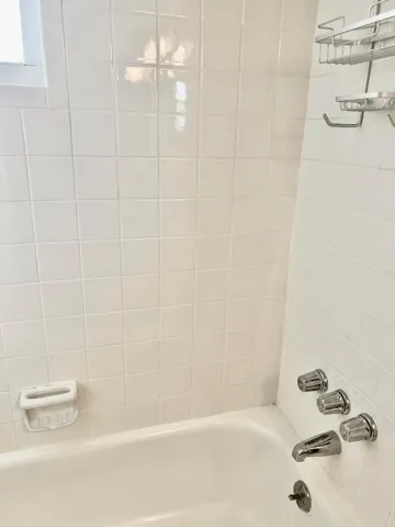 guest shower/tub
