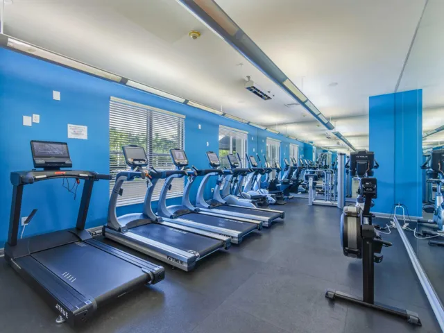 Gym Cardio