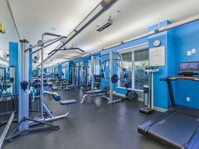Gym Weights
