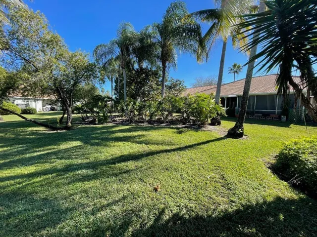 view from patio