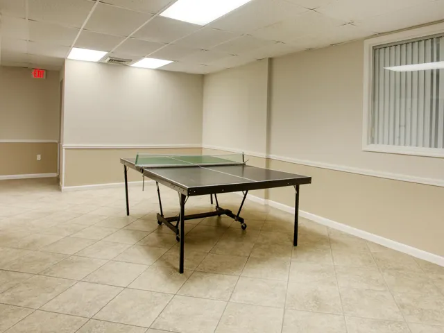 Ping Pong Table