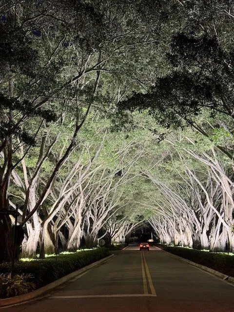 Gorgeous Tree Lined Community Entrance