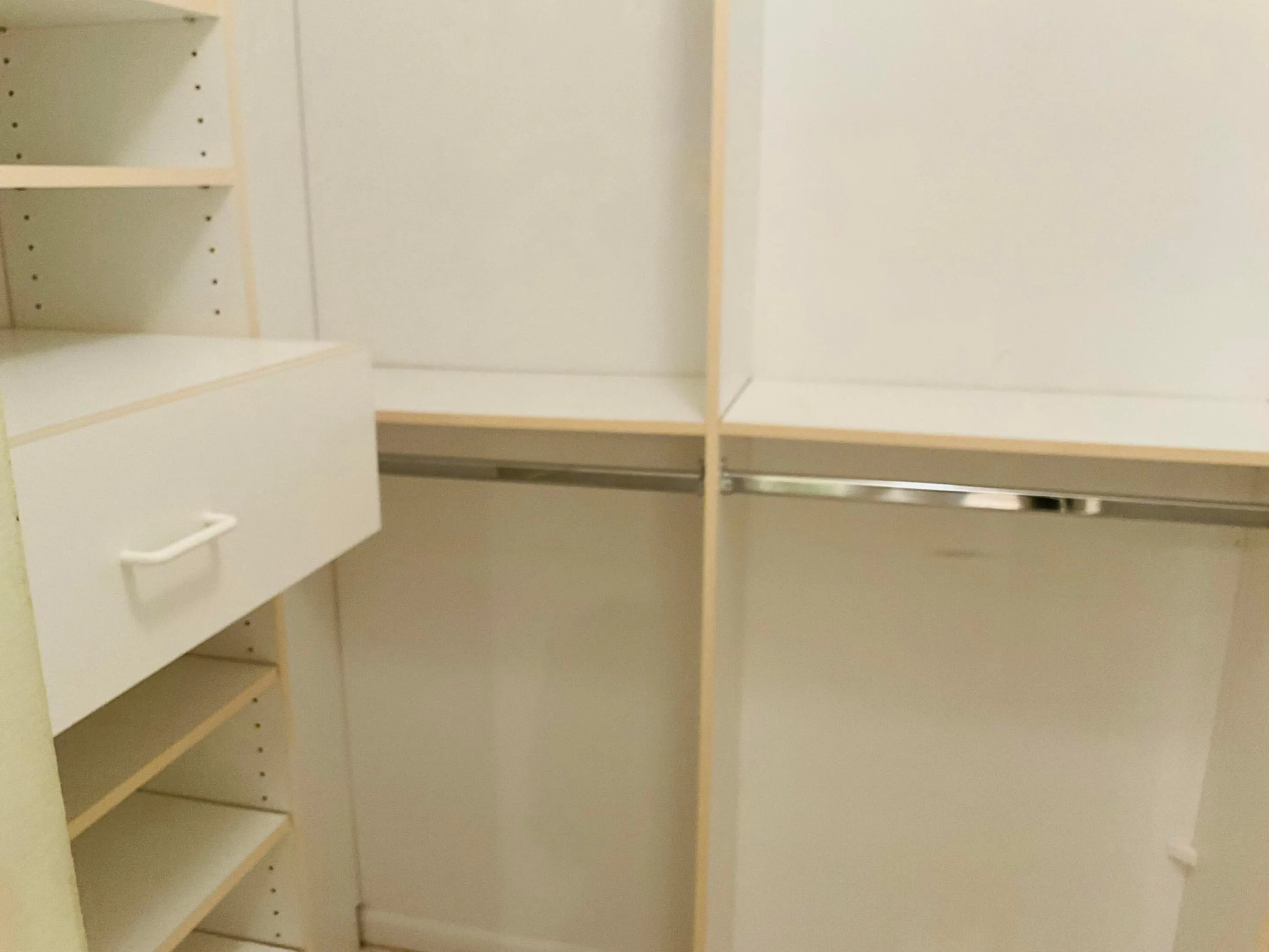 Master Closet 2