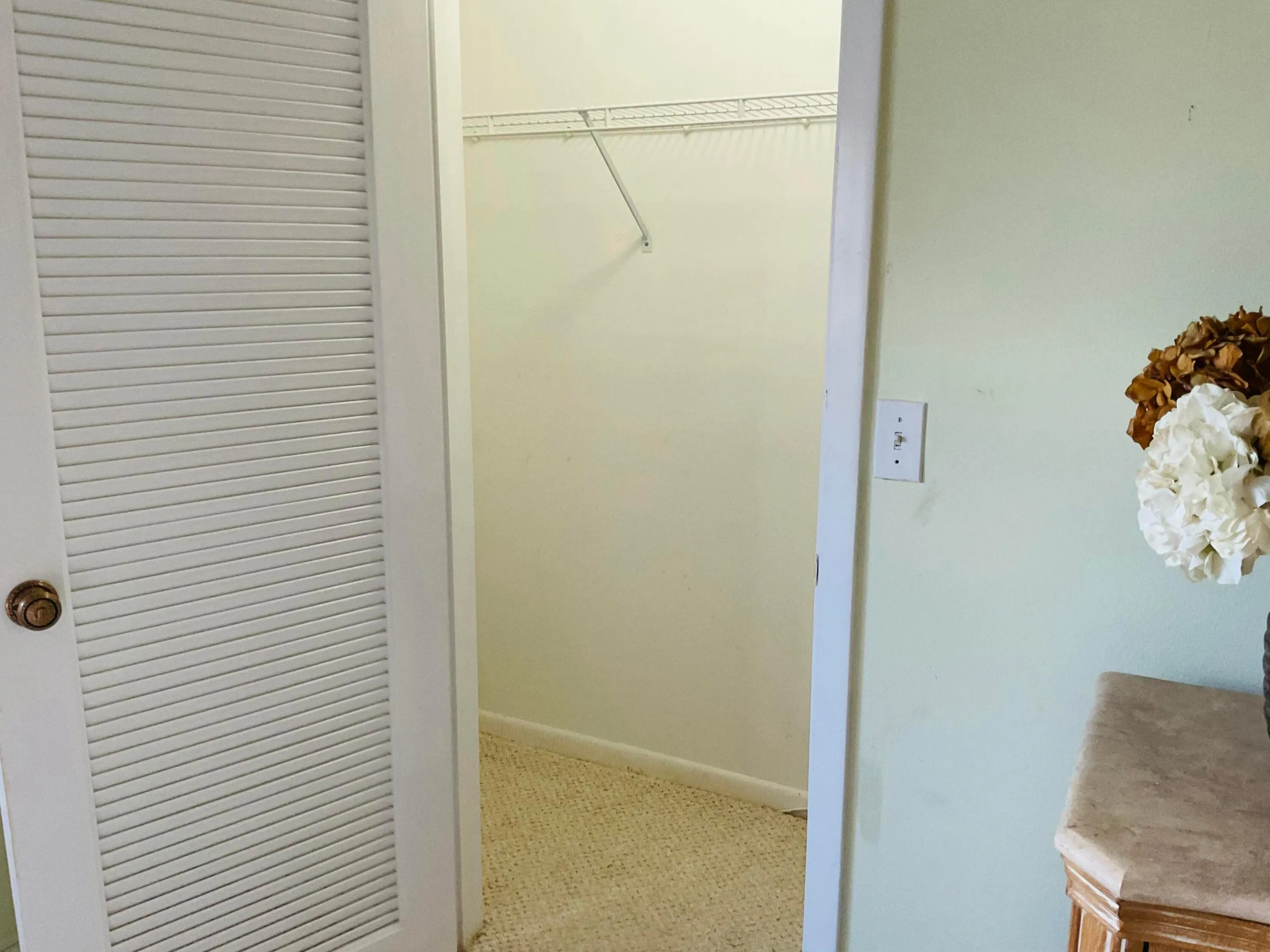 Master Closet 1