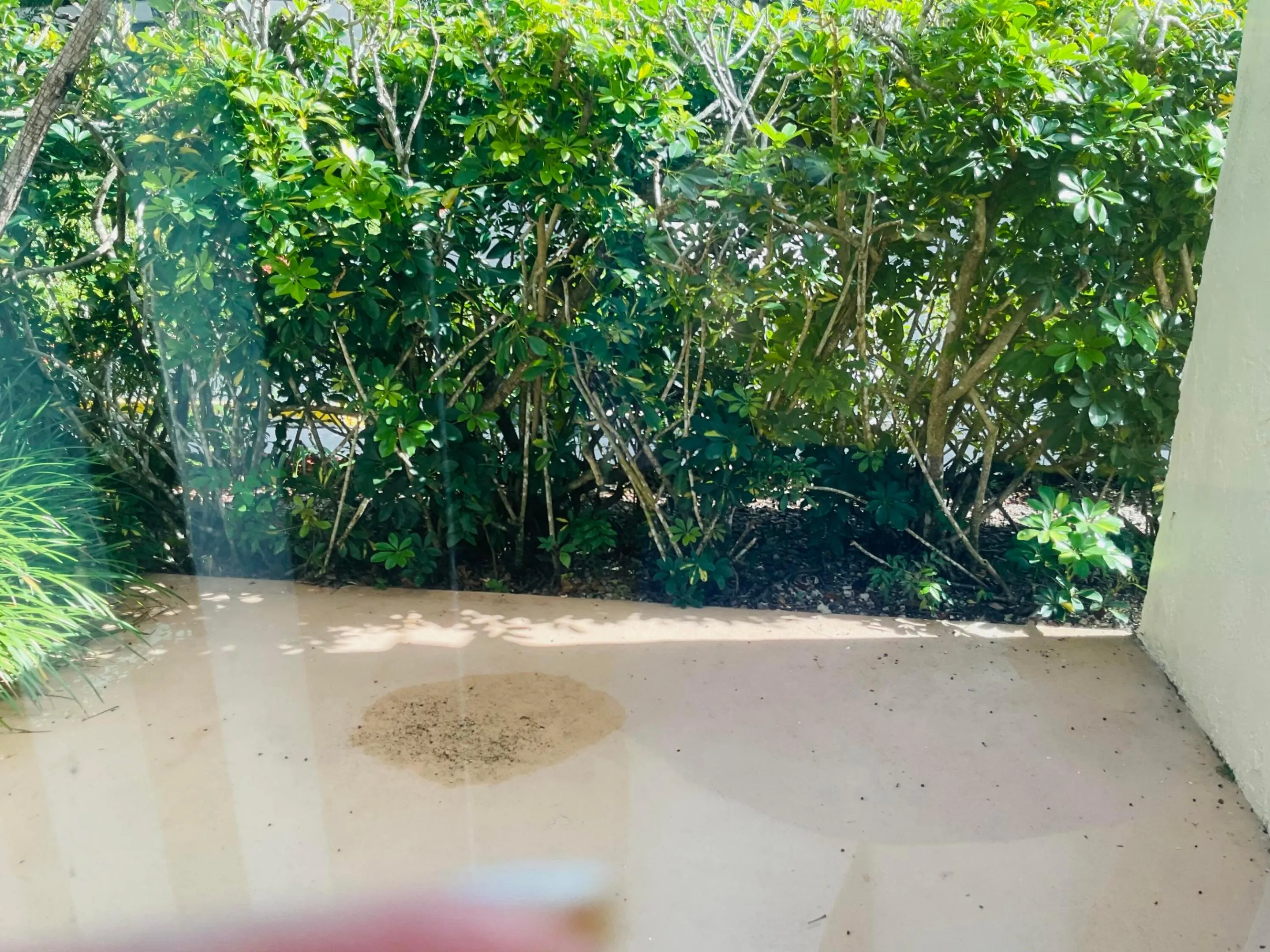 Private Patio