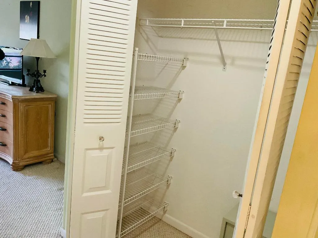 Master Closet 3