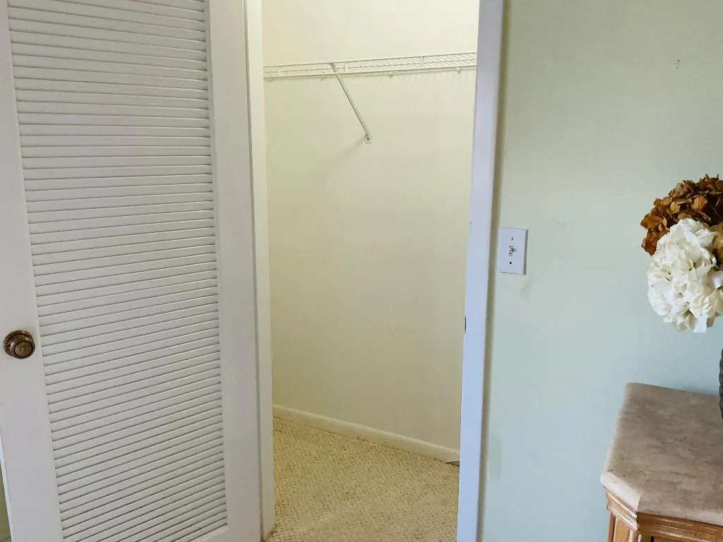 Master Closet 1