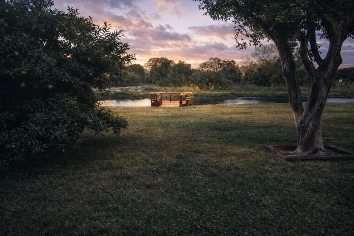 3526 Front yard