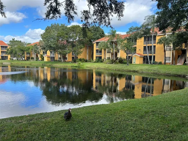 Lake view from the apartment.