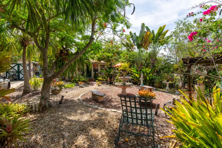 talk about tropical oasis