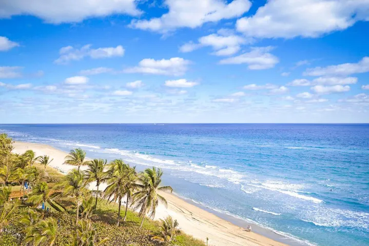 50_3407_S_Ocean_Blvd_Unit_8A50_mls