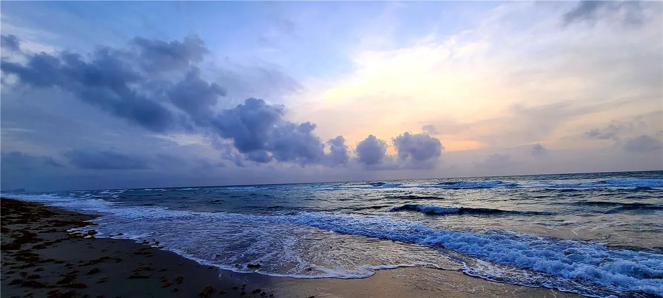 HOLLYWOOD BEACH