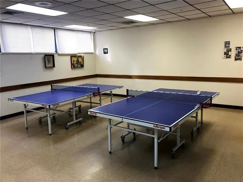 Enjoy Ping Pong