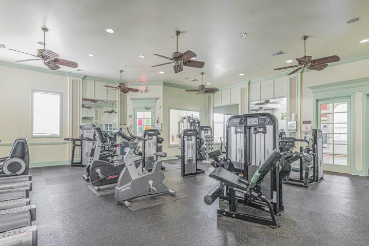 Magnoliagym