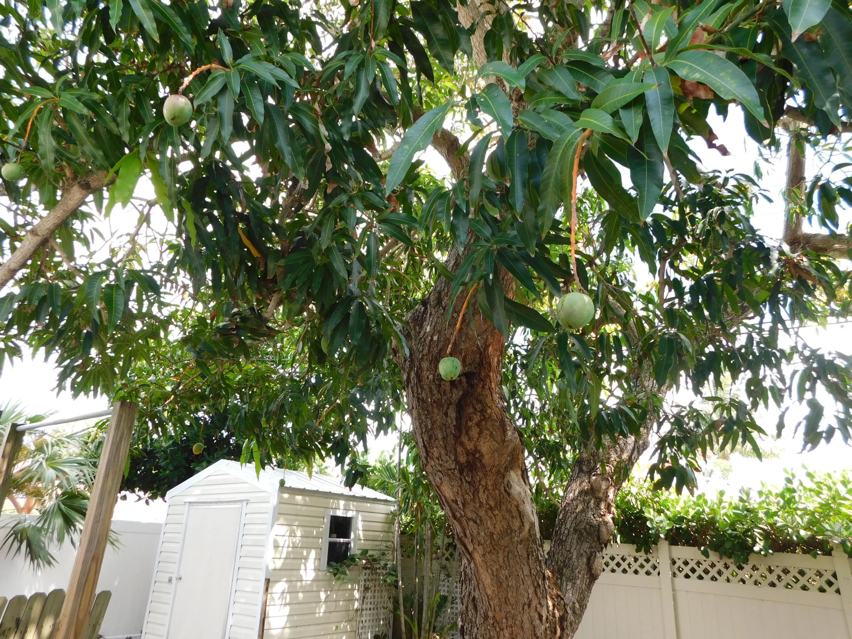 DSCN4609