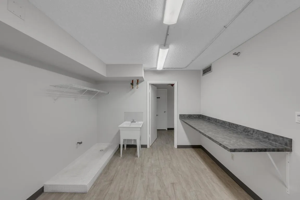Laundry room with sink and pet cleaning