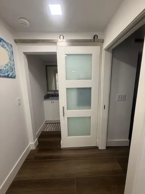 half bath frosted glass barn door