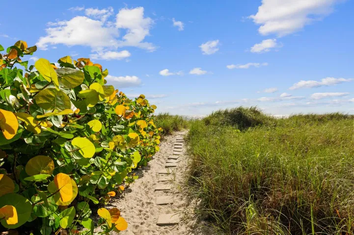 Deeded Beach Entry Path 4