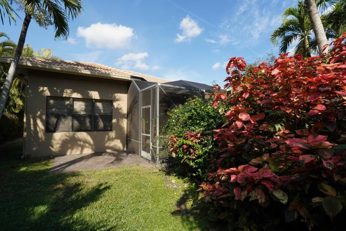 back yard