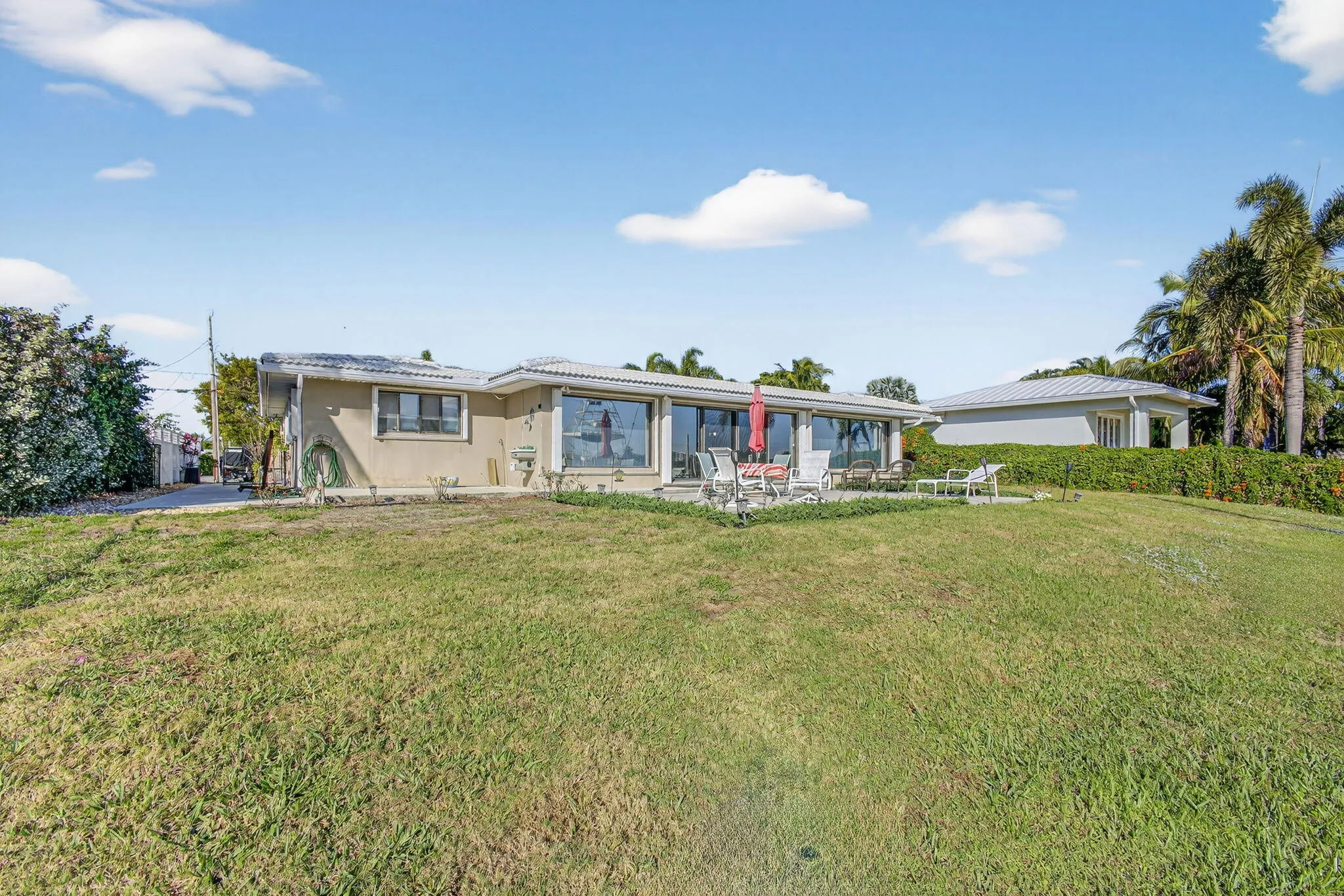 51-web-or-mls-5P1A2227