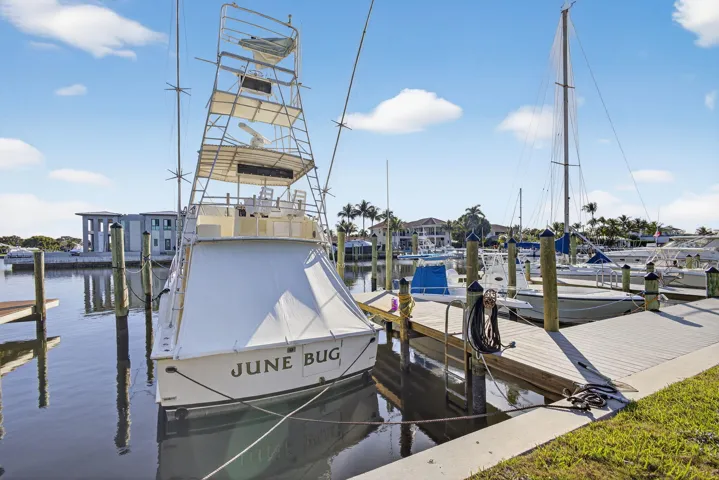 45-web-or-mls-5P1A2201