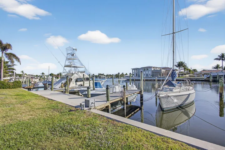 50-web-or-mls-5P1A2231