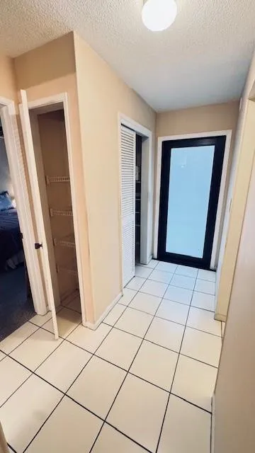 Hurricane Impact Doors and windows