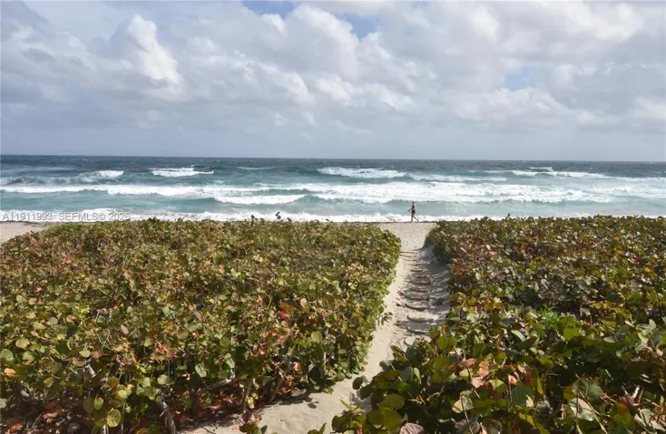 Beach​​‌​​​​‌​​‌‌​‌‌​​​‌‌​‌​‌​‌​​​‌​​ Pathway