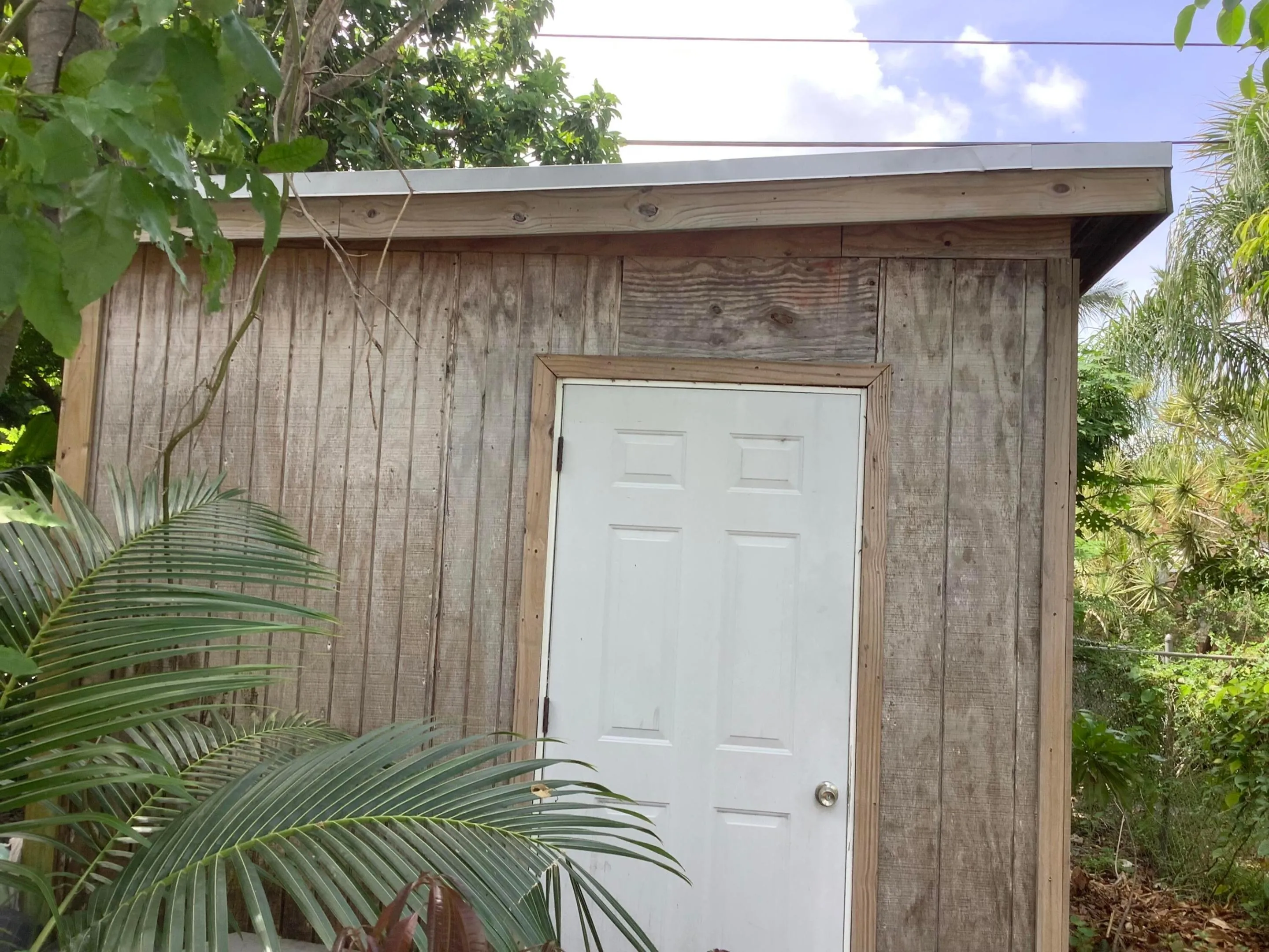 Shed