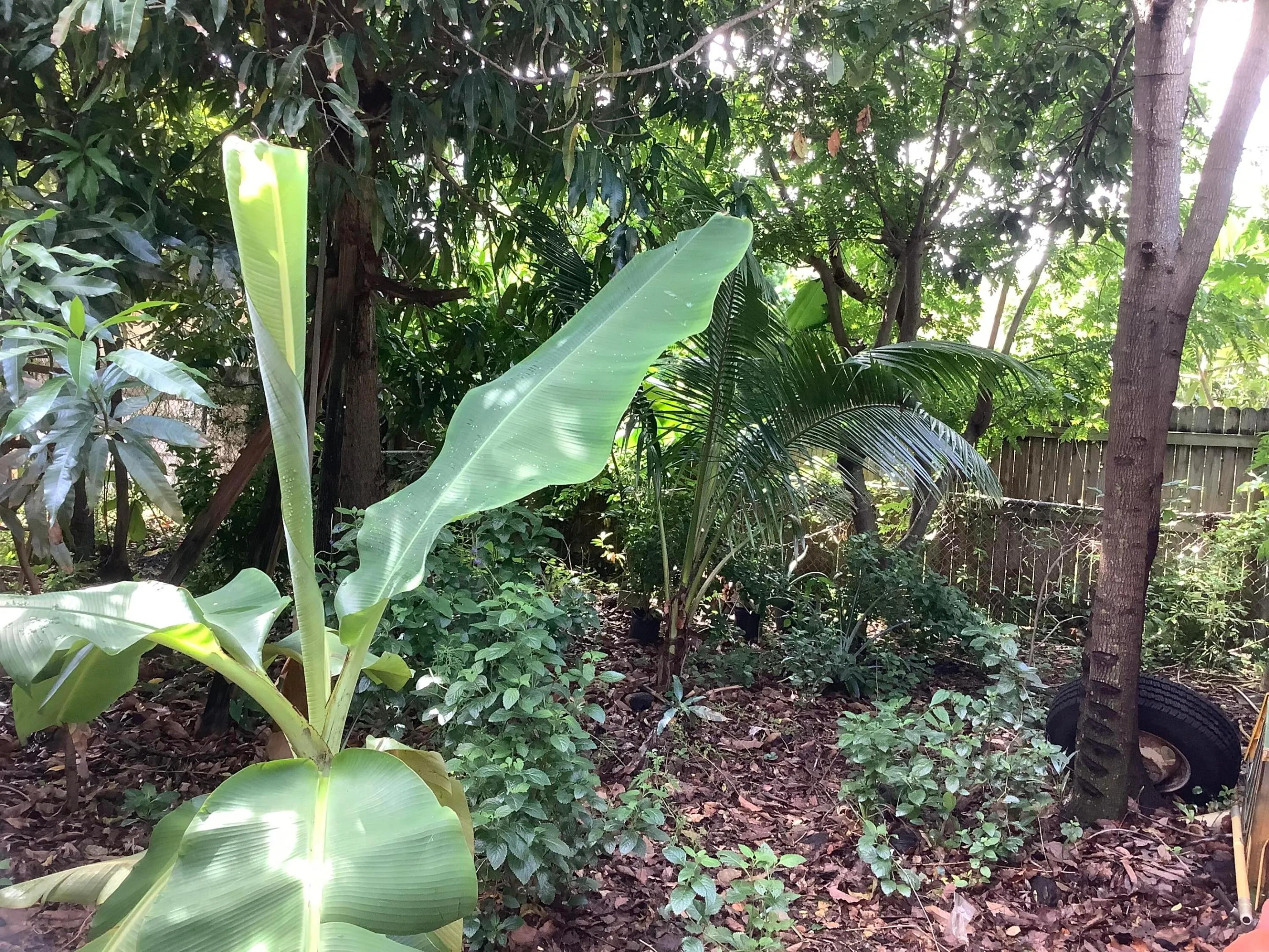 Yard1