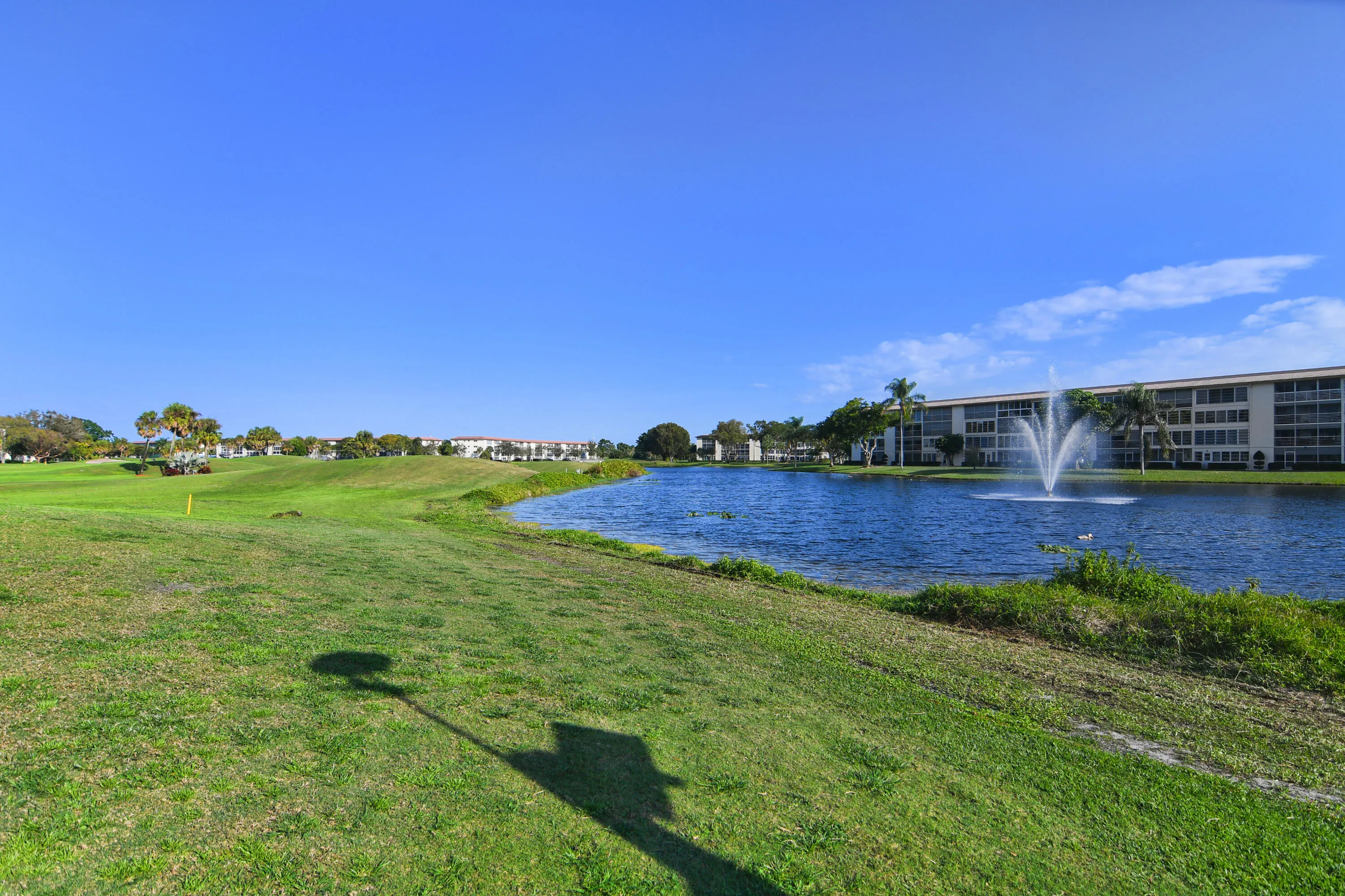 Property photo 77