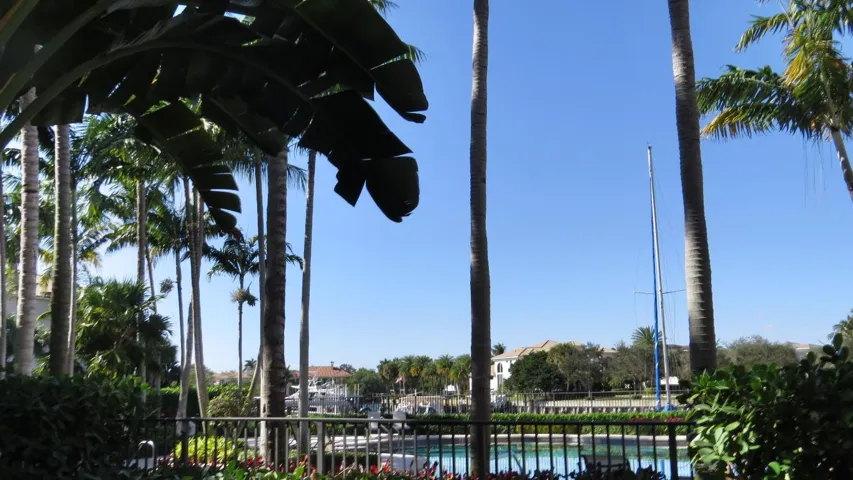patio view 2