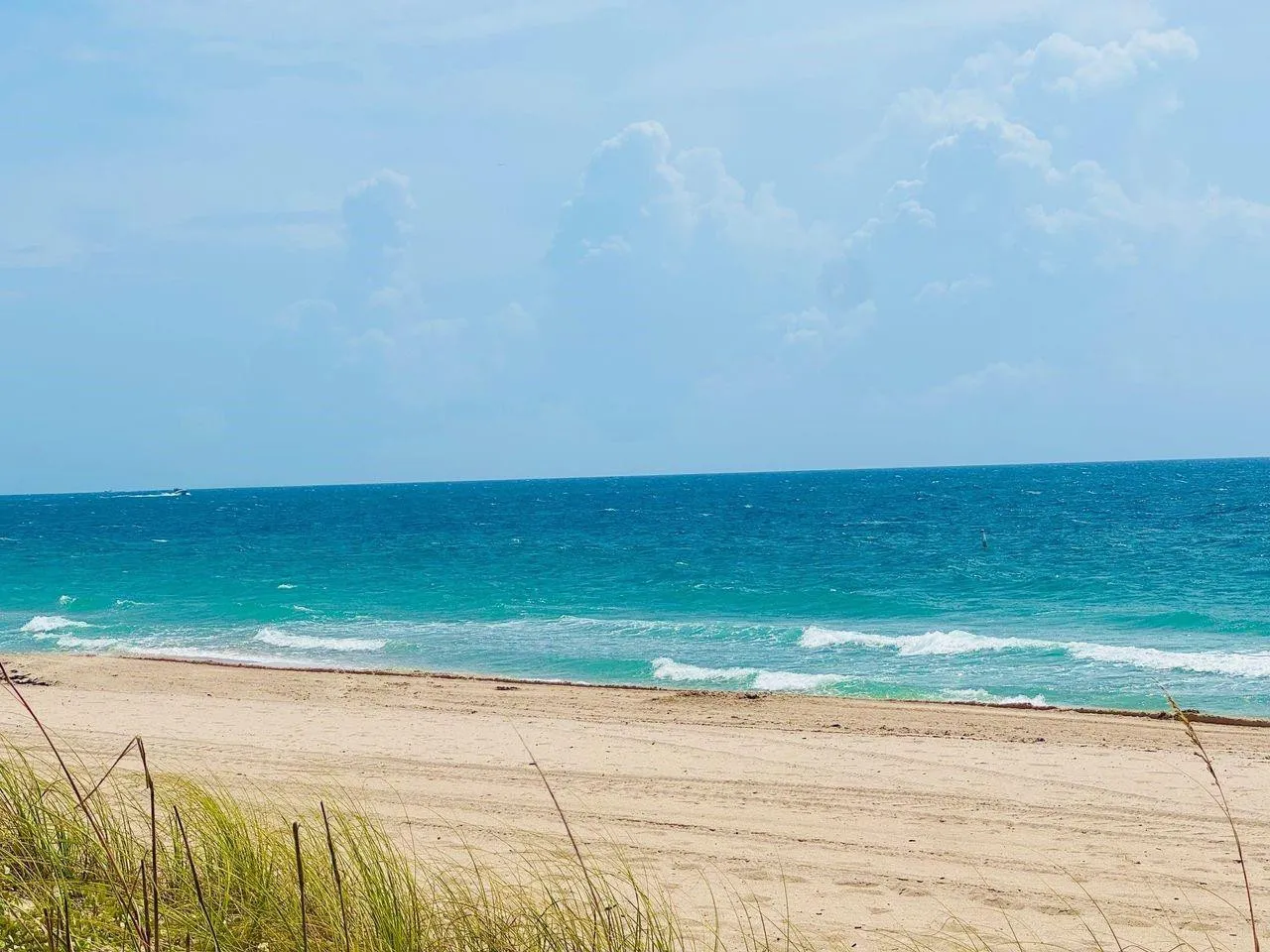 Your Beach