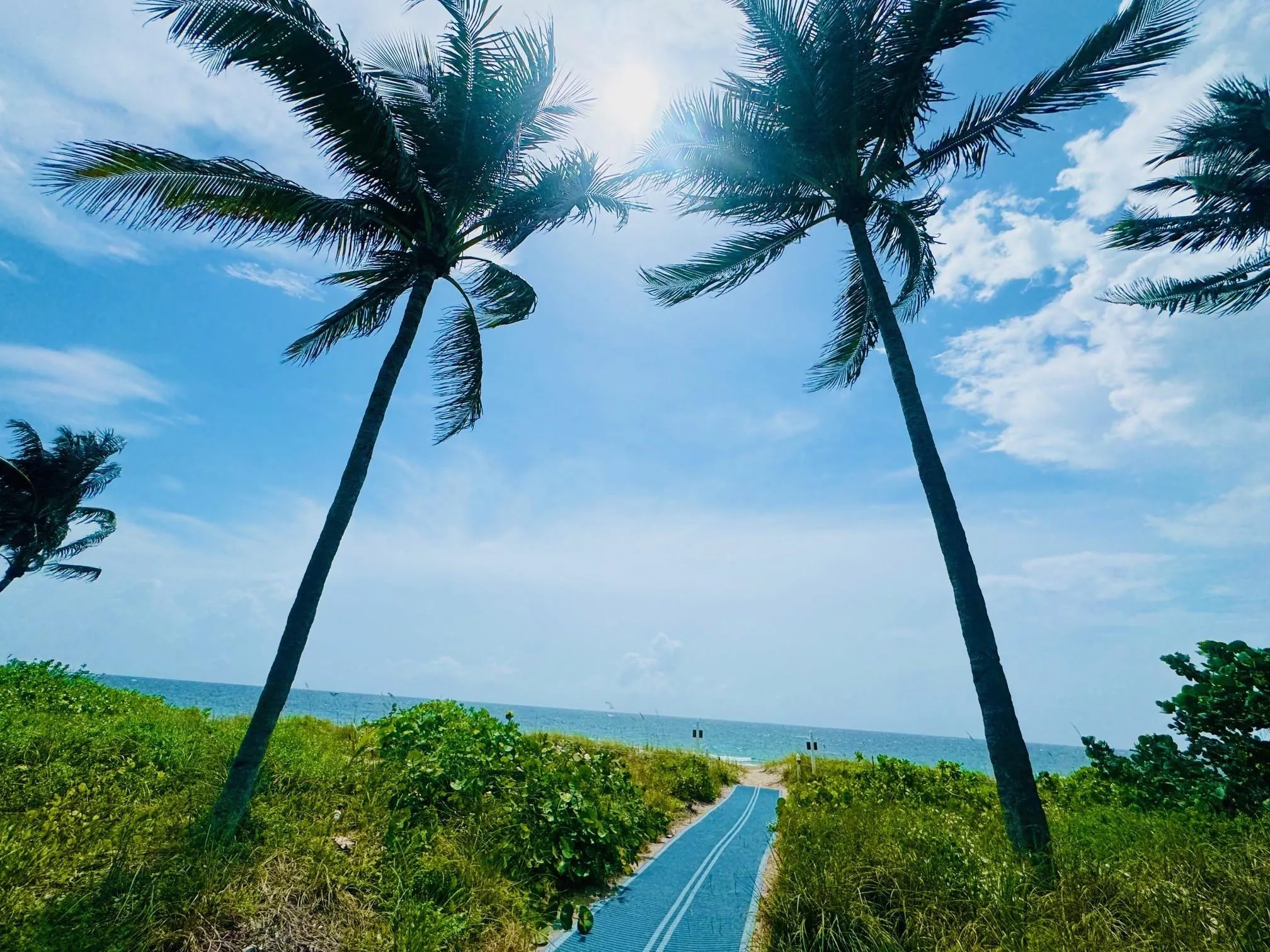 Path to beach