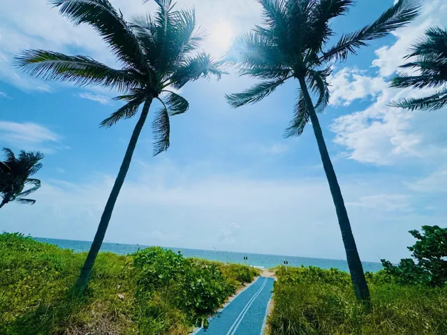 Path to beach