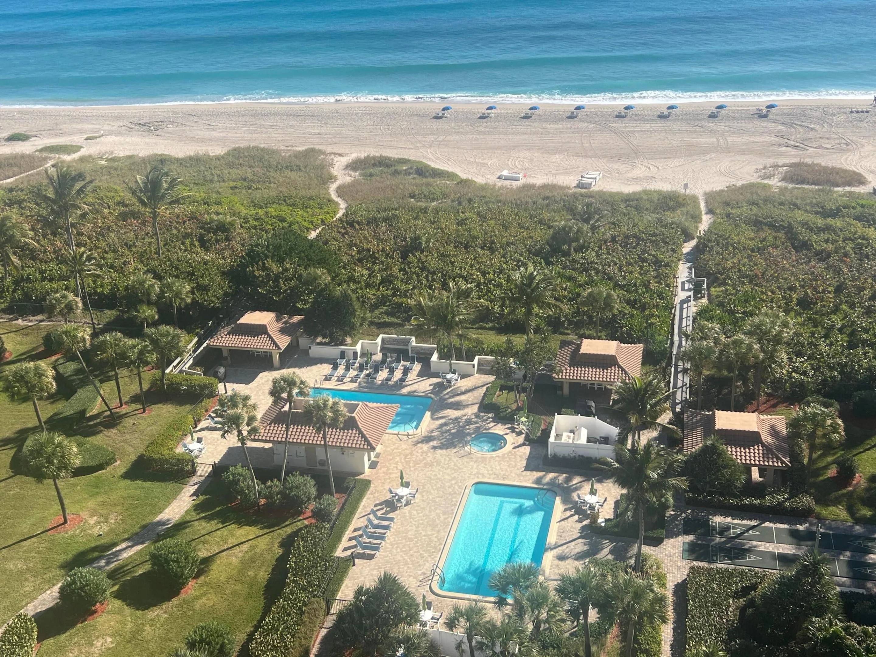 Oceantree Pools & Ocean Beach