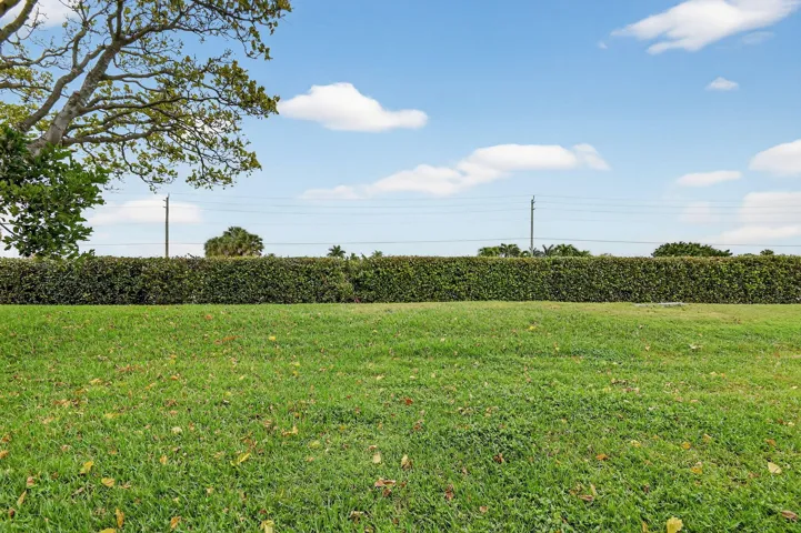 Backyard view