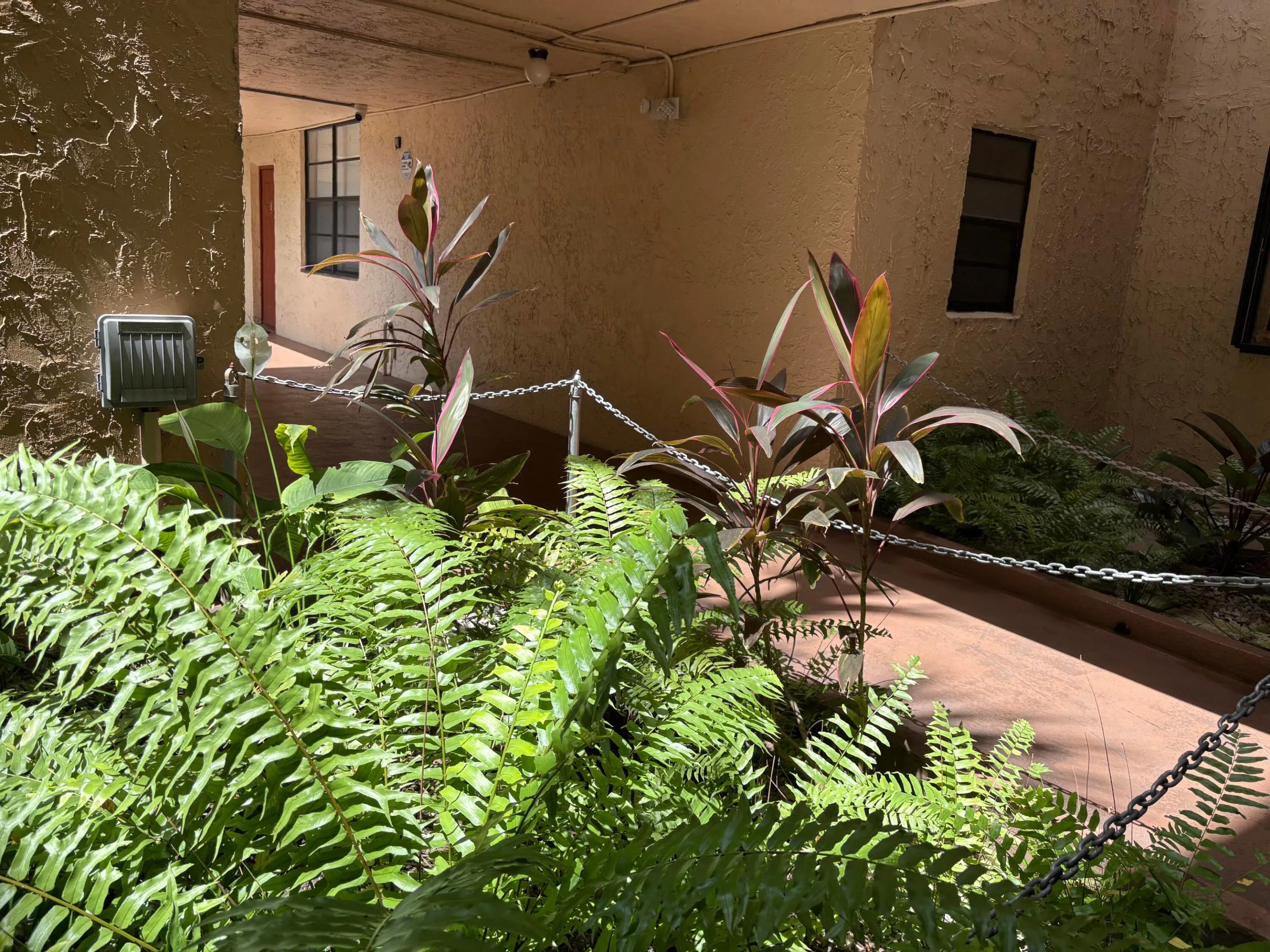 LUSH GROUNDS