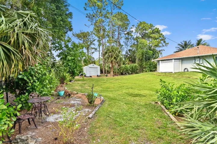 49 Backyard 06