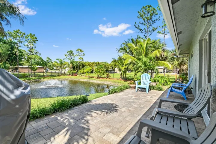 44 Backyard 01
