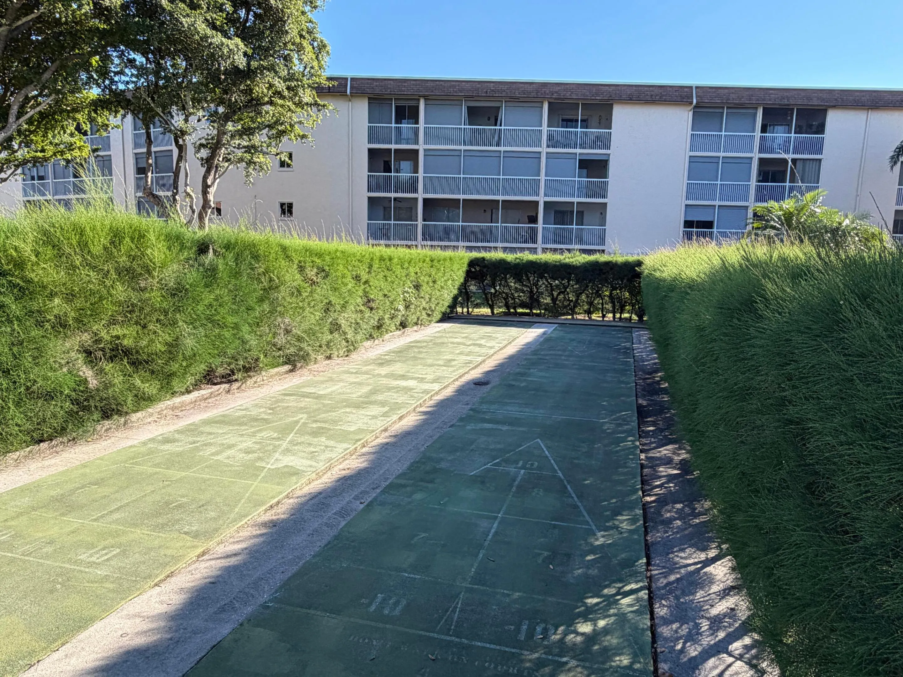Shuffleboard