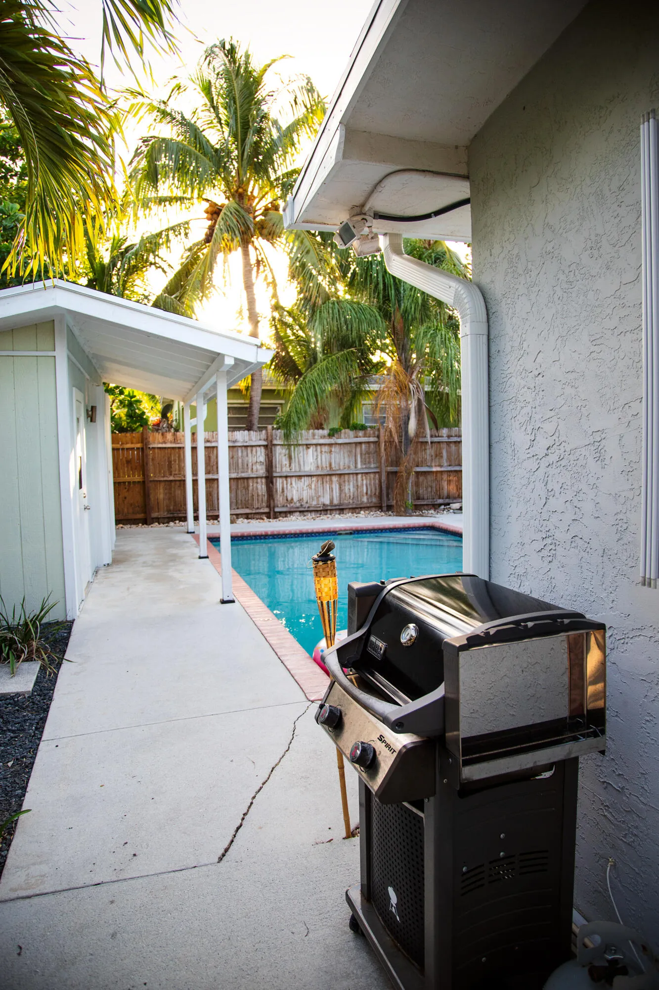 backyard