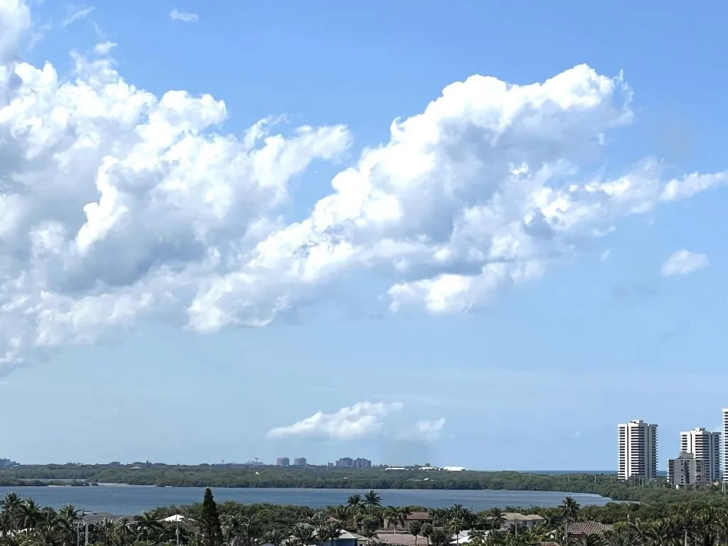 Intercostal View