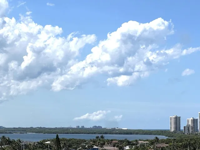 Intercostal View