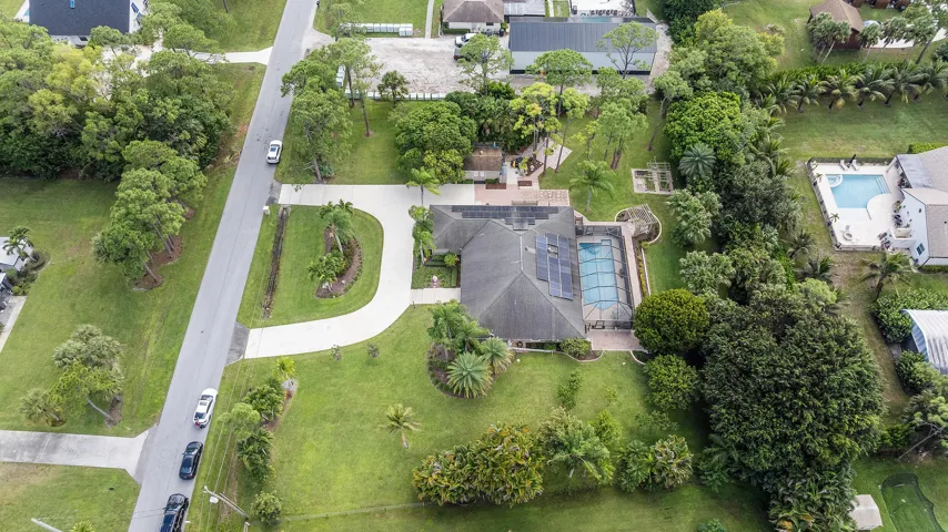 Aerial Shot