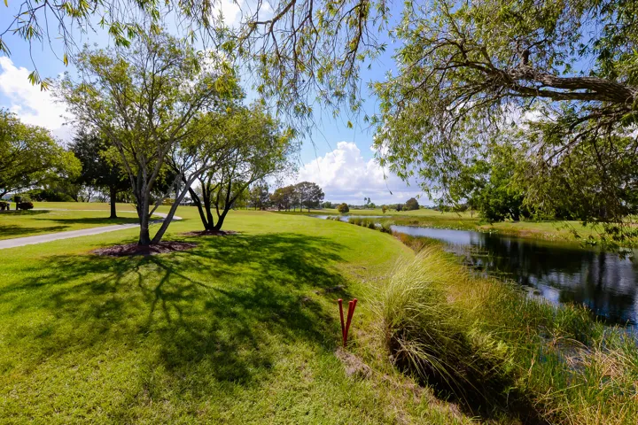 Savanna Club (25)