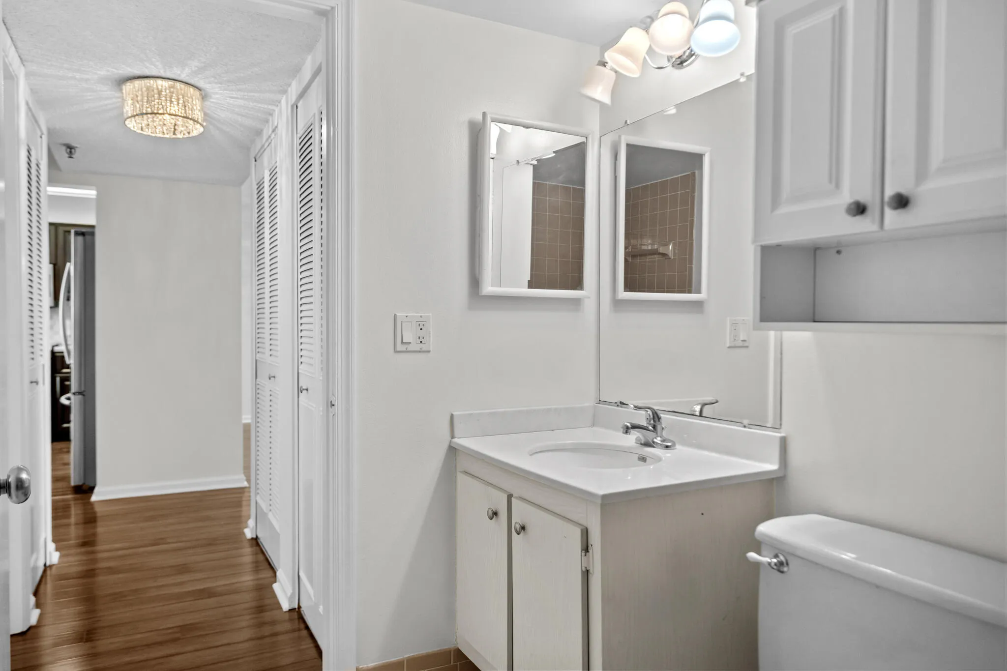 Guest bath, freshly painted.