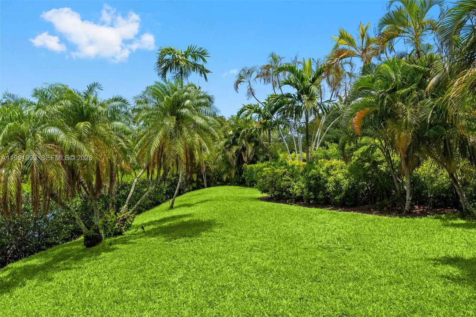 Property photo 79