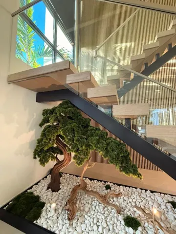 bonsai N2